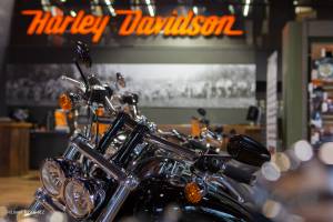 LIONEL TISSOT-BEZ - Lynko VR