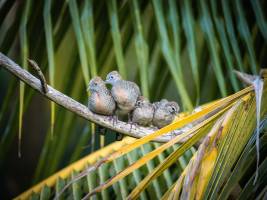 Antoine PIHEN - Antoine Pihen Photographe